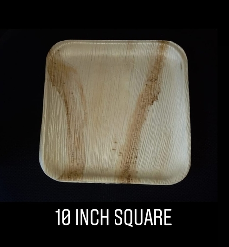 Areca Leaf Square Plate